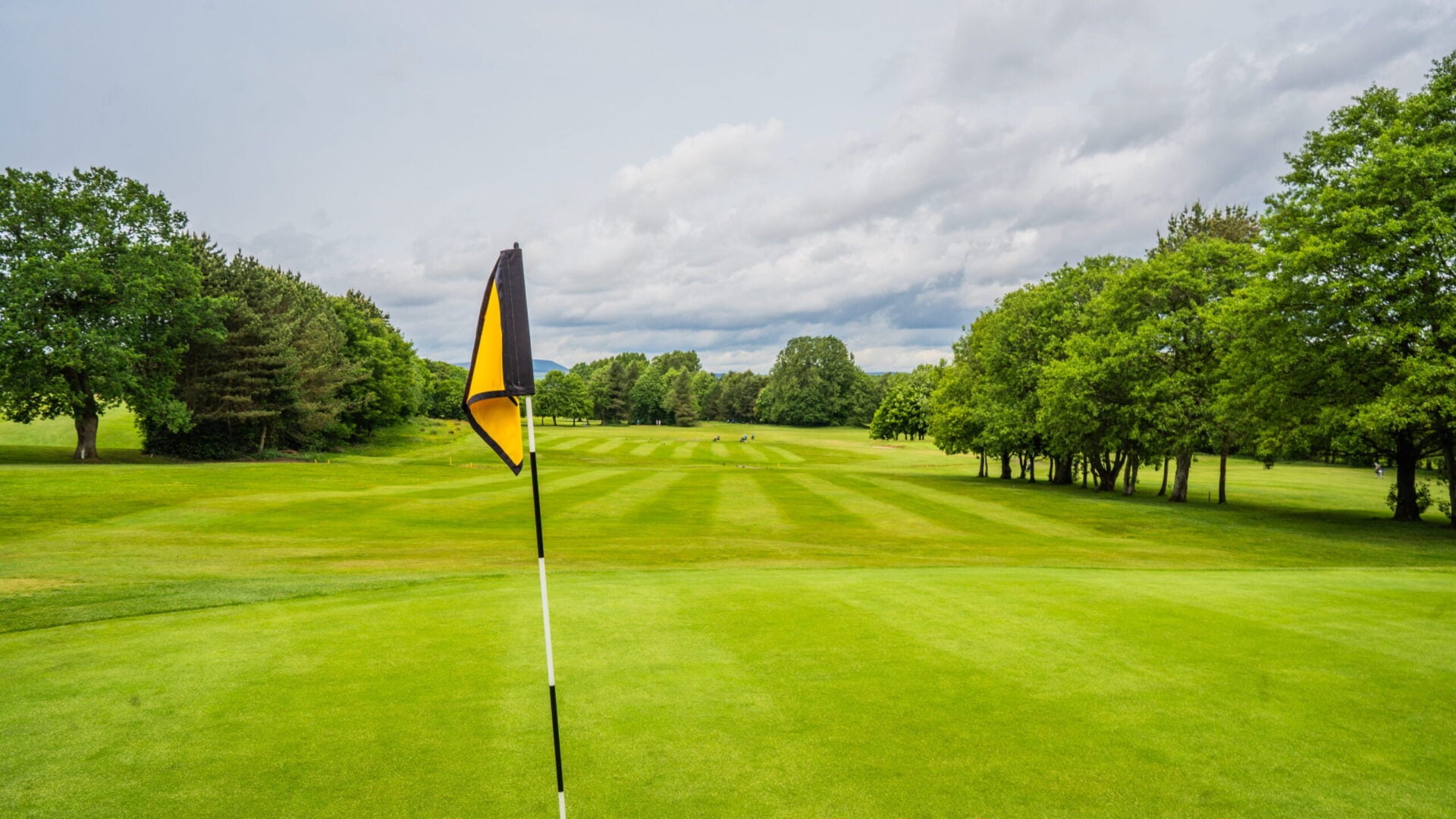 Beautiful green fairway