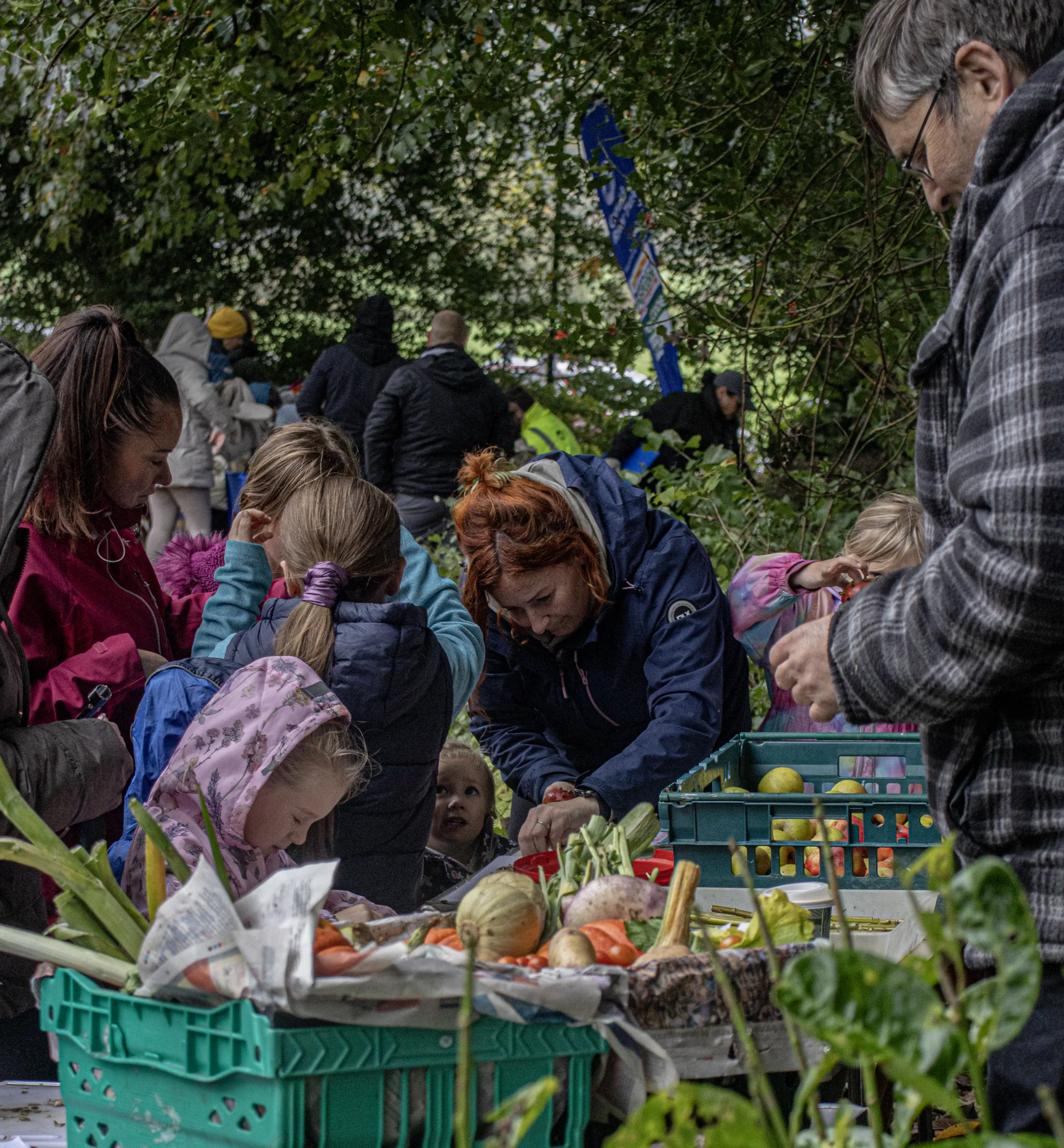 Groups taking part in activities in the park